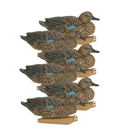 Pro-Grade Blue-Winged Teal Early Season Hen 6 Pack