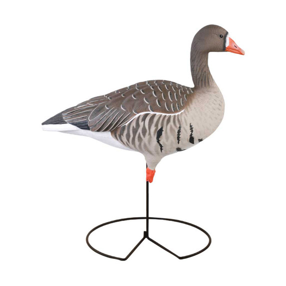 GHG Decoy Systems Pro-Grade Full-Body Specklebelly Goose Decoy Active Image