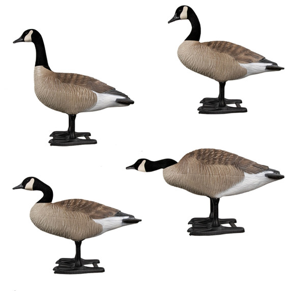 B2 Series Upright Goose Decoys - 4 Pack