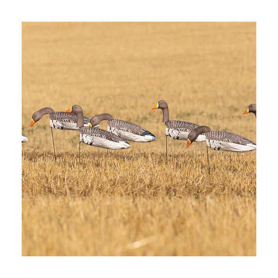 GHG Decoy Systems 3D Head Pro Grade Specklebelly Goose Windsock Harvester Pack in use image