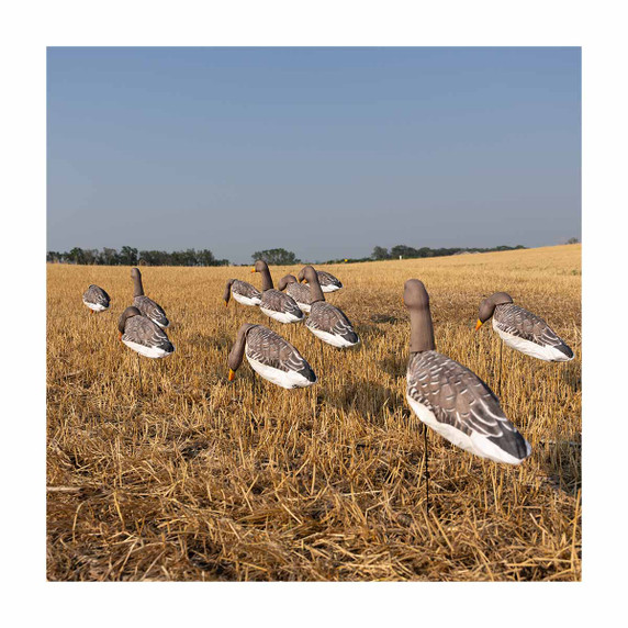 3D Head Pro Grade Specklebelly Goose Windsock Harvester Pack