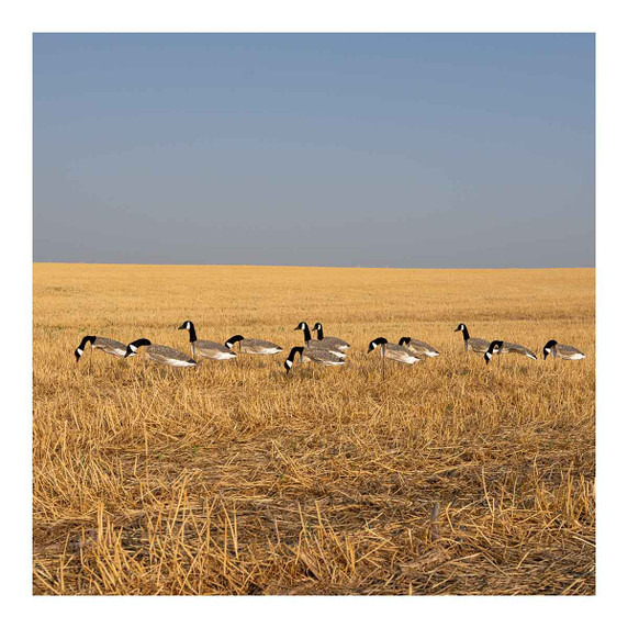 GHG 3D Flocked Head Pro Grade Canada Goose Windsock Harvester Pack far away image