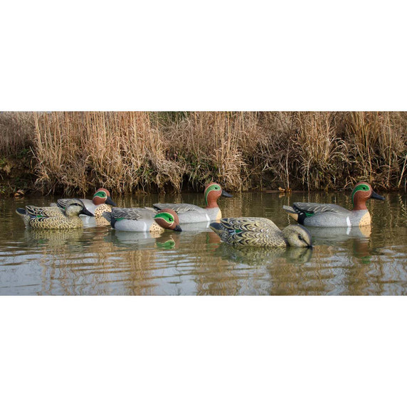 Higdon Outdoors Standard Green-Winged Teal Foam-Filled Duck Decoys, 12 Pack Field Image