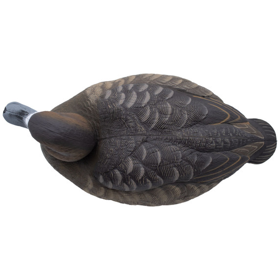 Final Approach Live Floating Bluebill Duck Decoys, 6 Pack | Rogers