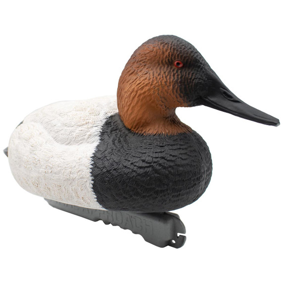 LIVE Foam Filled Canvasback, 6 Pack