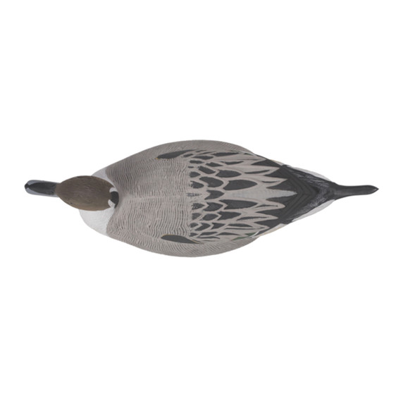 G&H Premier Series Oversize Pintail Duck Decoy Top Drake Image