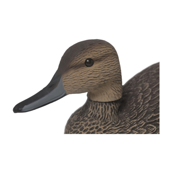 G&H Premier Series Oversize Pintail Duck Decoy Hen Head Image