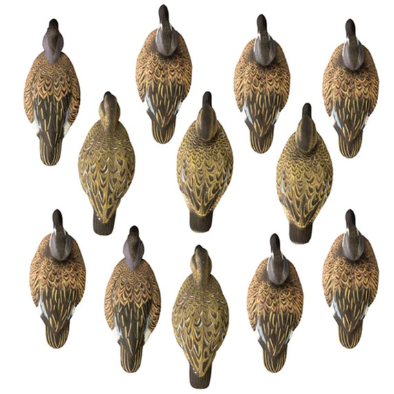 Standard Blue-Wing Teal Foam-Filled Duck Decoys - 12 Pack