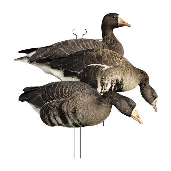 FLATS Standard Specklebelly Goose Silhouette Decoys - 12 Pack