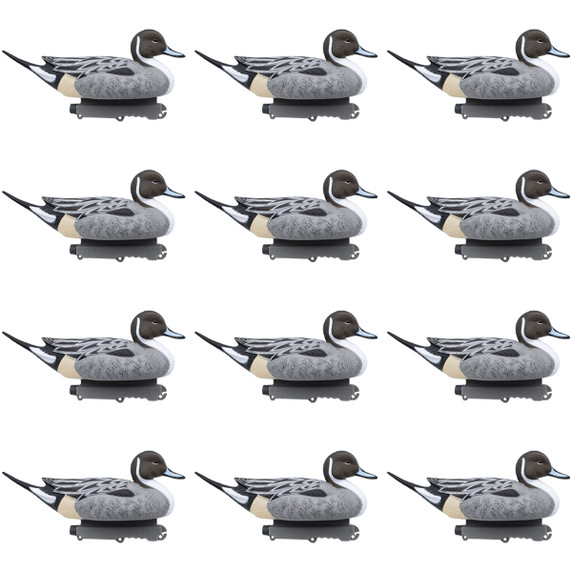 Last Pass Floating Pintail Decoy, 12 Pack