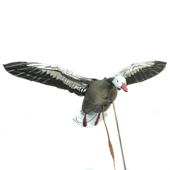 Front view of Higdon's Clone Blue Goose Decoys with both wings spread out.