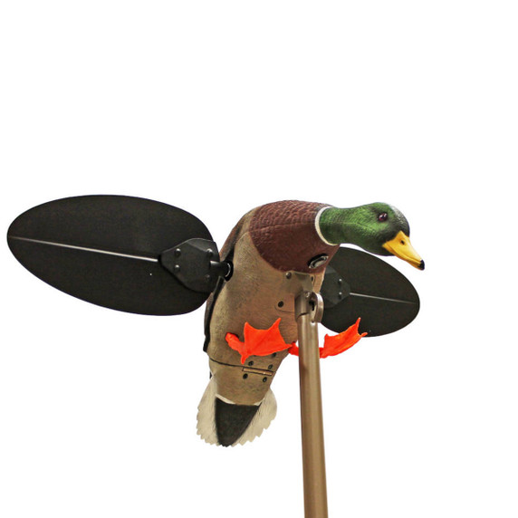 Mojo Outdoors Motorized Mallard Drake Duck Decoys. With motorized spinning wings