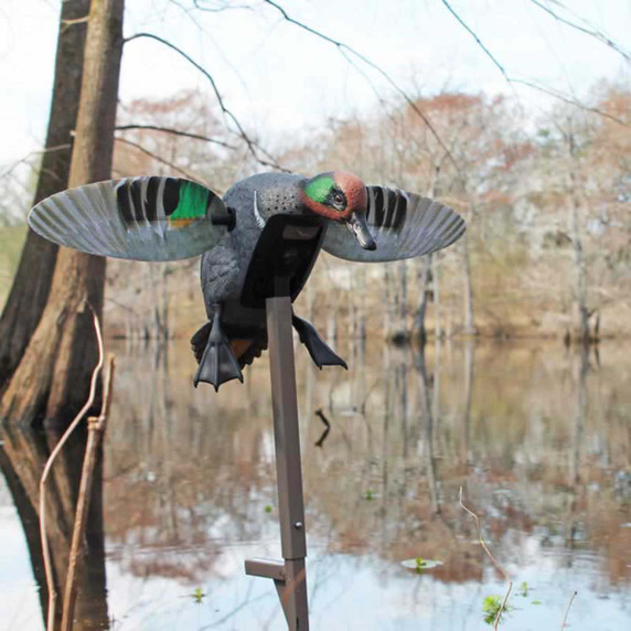 Mojo Outdoors Elite Series Green-Winged Teal Spinning Wing Duck Decoy Field Image.