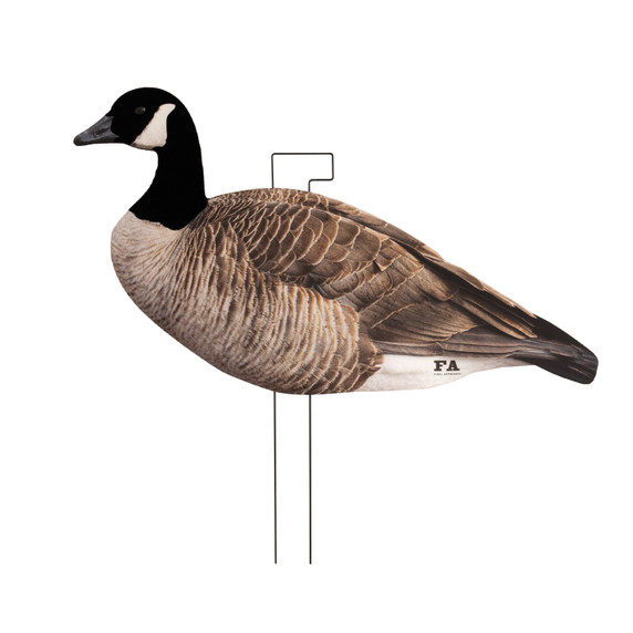 head up image
