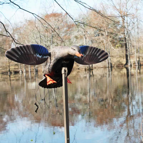 Elite Series Mini Mallard Hen Motorized Duck Decoys with motorized spinning wings, Displayed in the fields