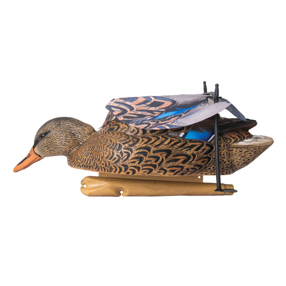 Mallard Hen Chatter Duck Motorized Decoy