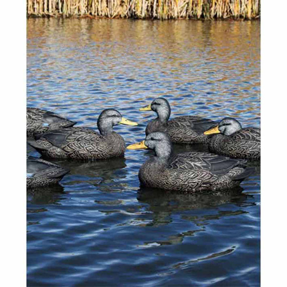 Refuge Series Floating Black Duck Decoys, 6 Pack Refuge Series Floating Black Duck Decoys, 6 Pack