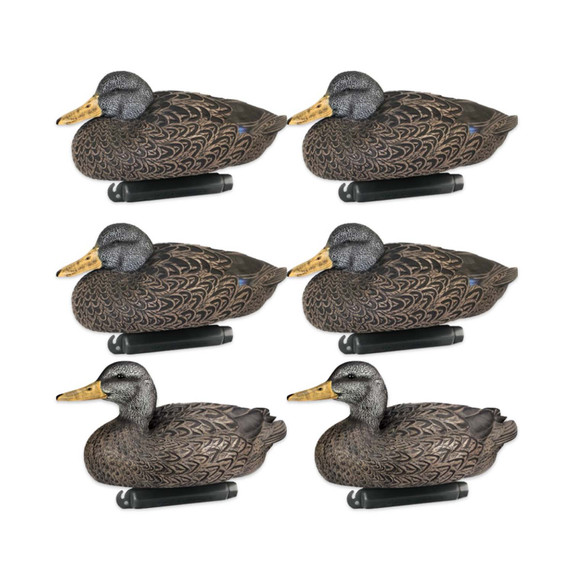 Refuge Series Floating Black Duck Decoys, 6 Pack Refuge Series Floating Black Duck Decoys, 6 Pack
