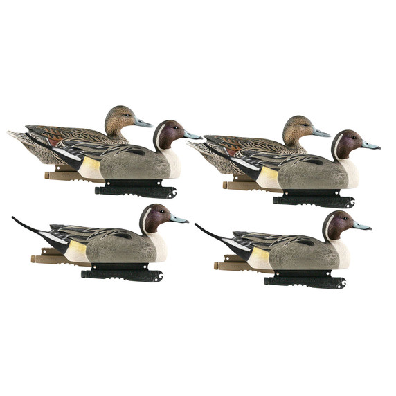 Avery Life-Size Pintails, 6 Pack Image