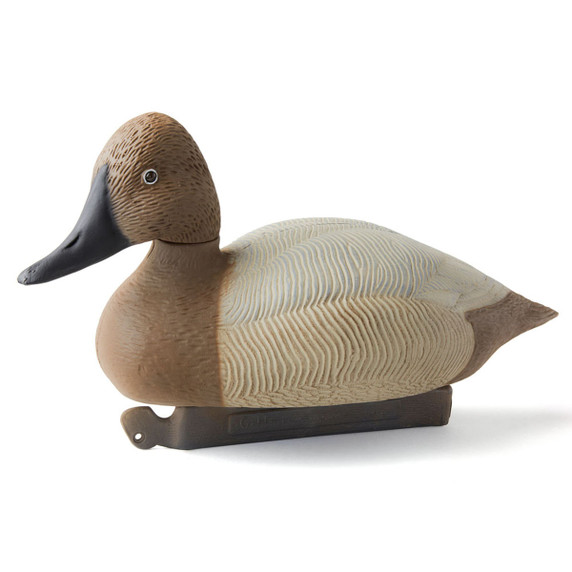 G&H Decoys Canvasback – Super Magnum, 6 Pack | Rogers Sporting Goods