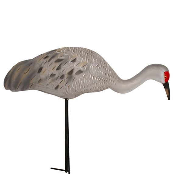 LIVE Full Body Sandhill Crane Feeders, 2 Pack LIVE Full Body Sandhill Crane Feeders, 2 Pack