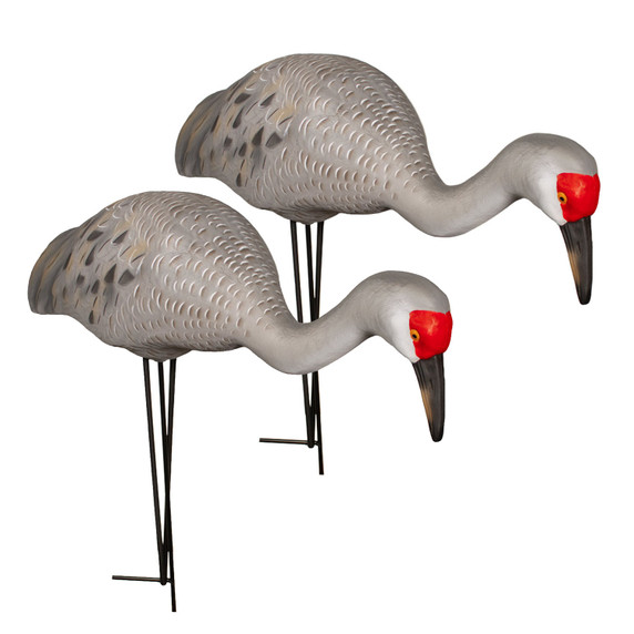 LIVE Full Body Sandhill Crane Feeders, 2 Pack LIVE Full Body Sandhill Crane Feeders, 2 Pack
