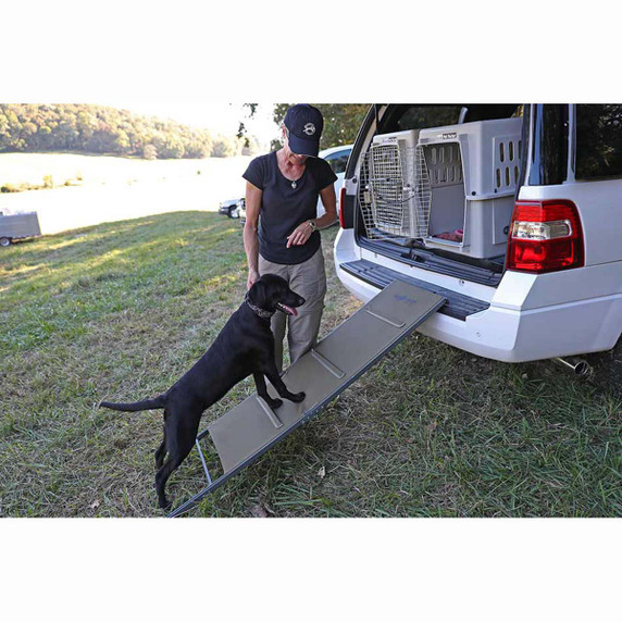 Folding Dog Ramp