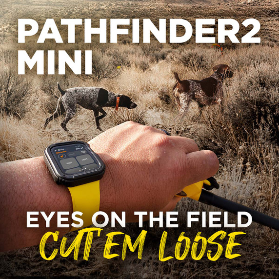 Pathfinder 2 Mini Dog E-Collar