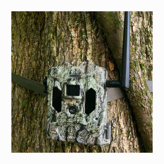 CelluCORE Live Dual SIM Trail Camera