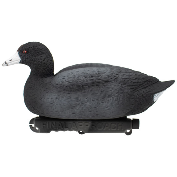 Last Pass  Floating Coots Decoys, 12 Pack