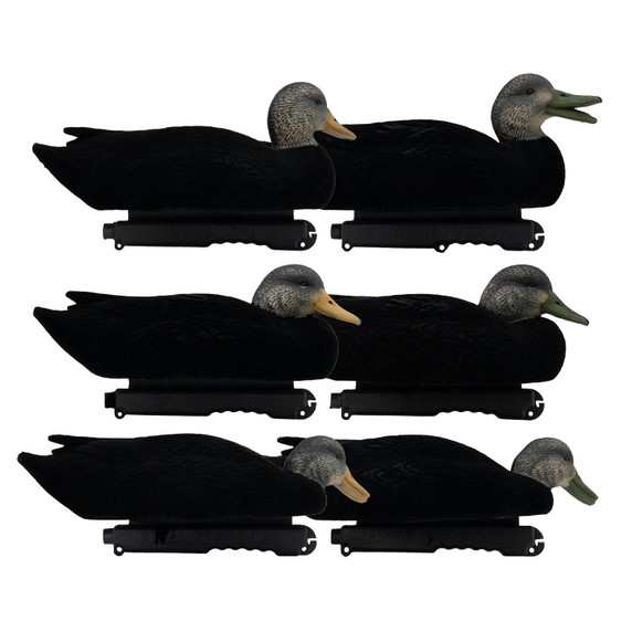 Final Approach Live Flocked Black Duck Decoys 6 Pack Image