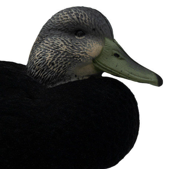 Final Approach Live Flocked Black Duck Decoy close up head tucked image