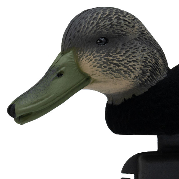 Final Approach Live Flocked Black Duck Decoy close up head down image