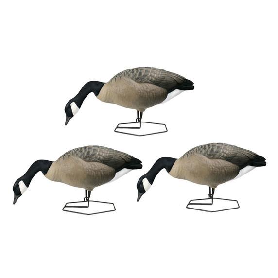 Rogue Series Full Body Canada Goose Decoys, 6 Pack