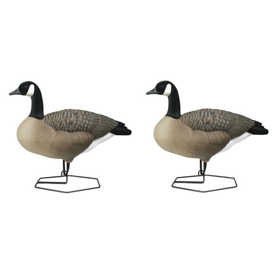 Rogue Series Full Body Canada Goose Decoys, 6 Pack