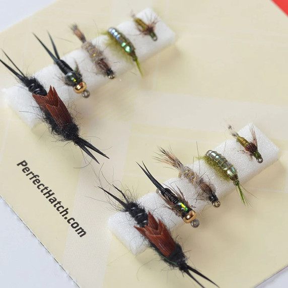 Nymph Assortment
