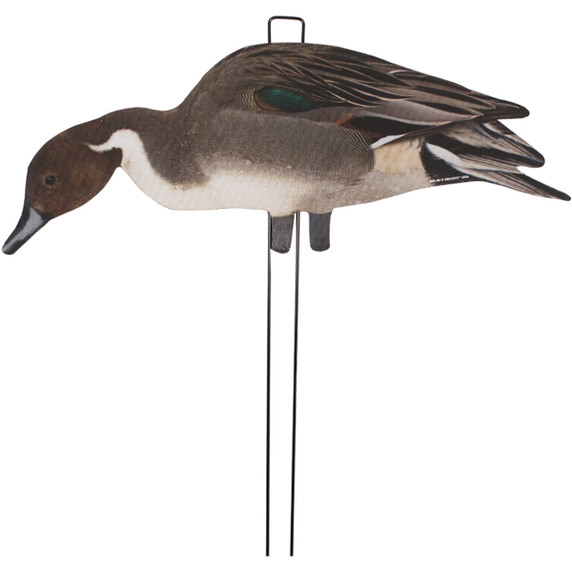Pinnie Pack Pintail Silhouettes 12 Pack