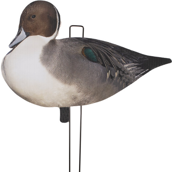 Pinnie Pack Pintail Silhouettes 12 Pack
