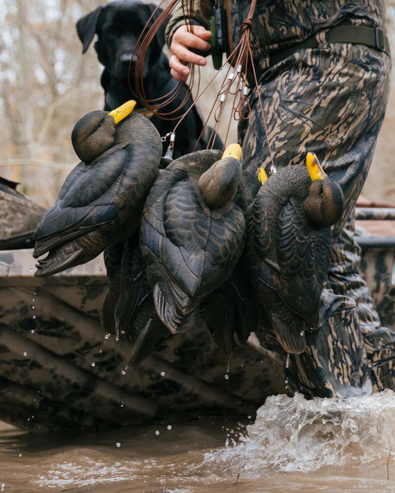 HydroFoam Fully Flocked Floating Black Duck Decoys - 6 Pack