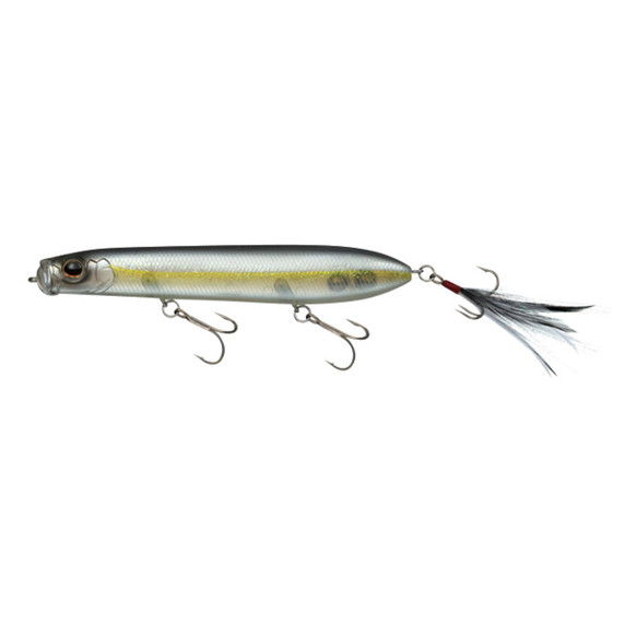Daiwa Evergreen Shower Blow Topwater Bait Image in American Shad