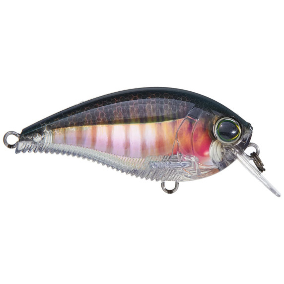 3DB Series Squarebill Crankbait 1.5