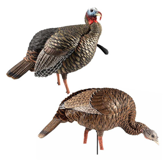 Avian-X HDR Jake and Feeding Hen Turkey Decoy Combo Image