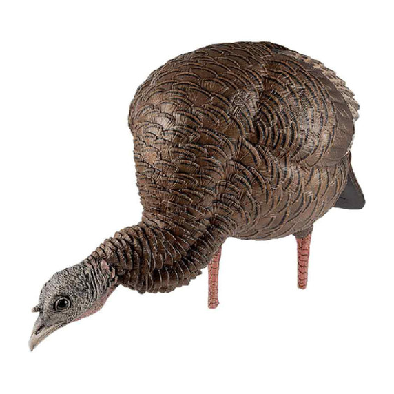 Avian-X HDR Feeding Hen Turkey Decoy Front Image