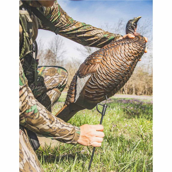 Flextone Chick Breeder Turkey Decoy Stake Placement Image