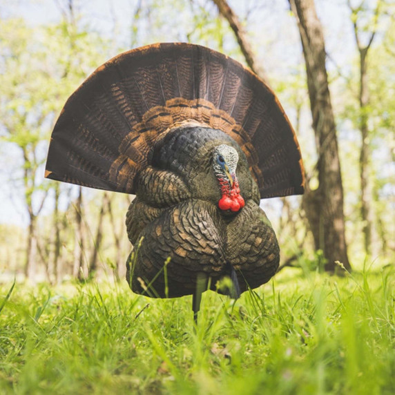 Flextone Thunder Creeper Strutter and Chick Breeder Turkey Decoy
