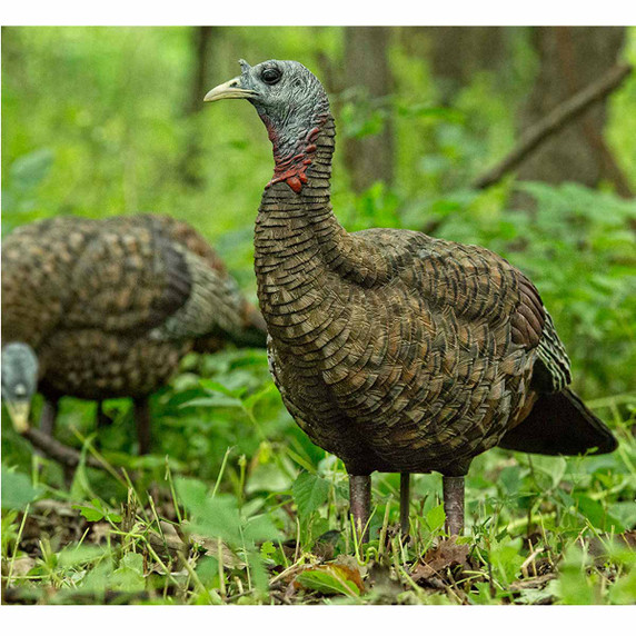 Avian-X LCD Quarter Strut Hen In-the-Field Image