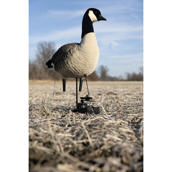 Avian-X X-Factor Decoy Motion System Goose In-the-Field Angled Image