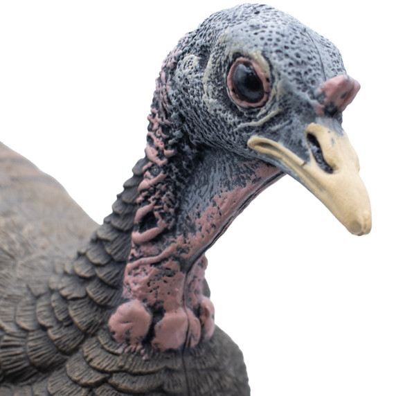 Final Approach Live Breeder Turkey Hen Decoy Front Head Image