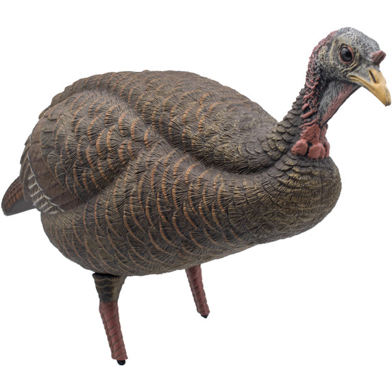 Final Approach Live Breeder Turkey Hen Decoy Front Right Angled Image