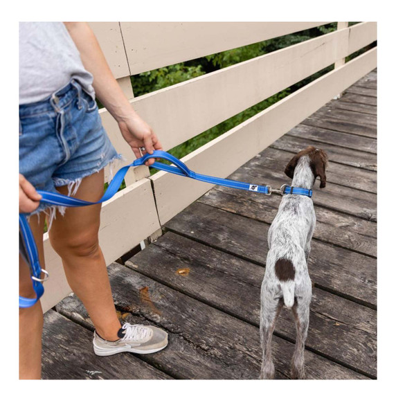 ROCT Trailhead Dog Leash with Padded Heel Handle Lifestyle Image in Blue